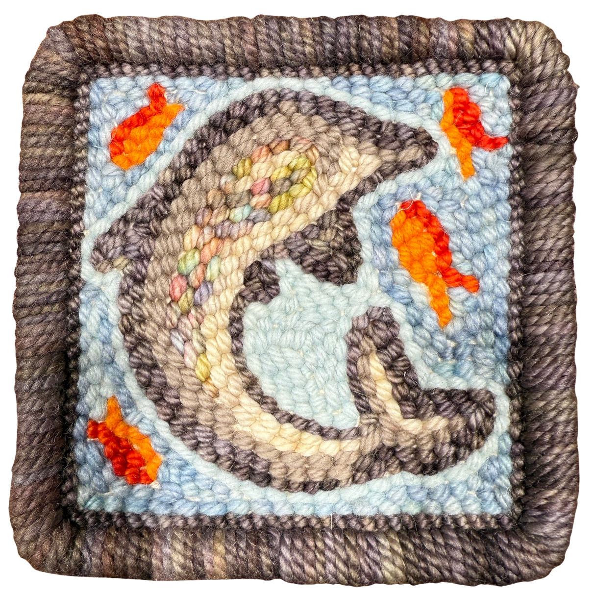 Sun Shower Dolphin Class Kit for Students